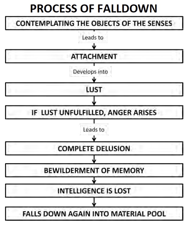 Screenshot 2025-05-13 at 3.00.29 PM.jpg