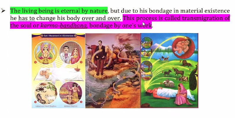 Screenshot 2026-01-22 at 2.42.04 PM.jpg