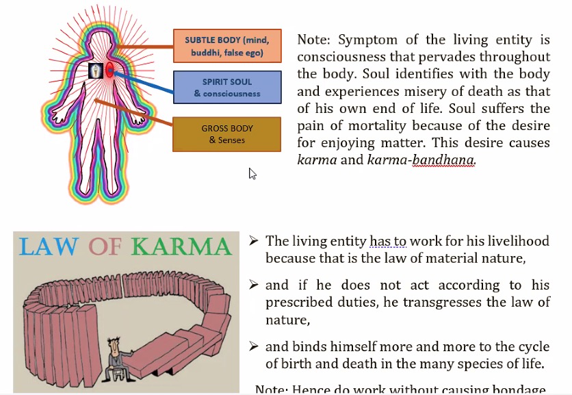 Screenshot 2026-01-22 at 2.45.18 PM.jpg