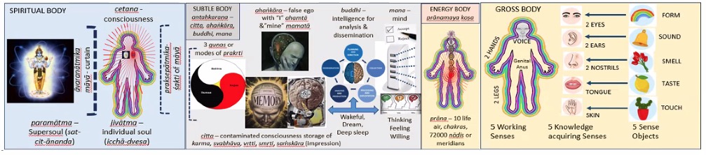 Screenshot 2026-01-22 at 2.56.21 PM.jpg