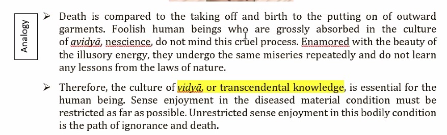 Screenshot 2026-02-03 at 2.45.35 PM.jpg