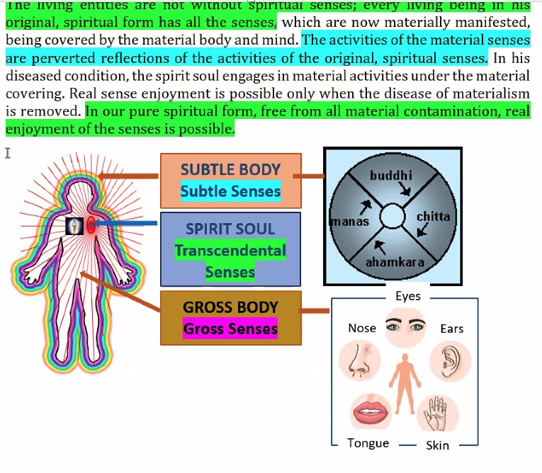 Screenshot 2026-02-03 at 2.47.04 PM.jpg